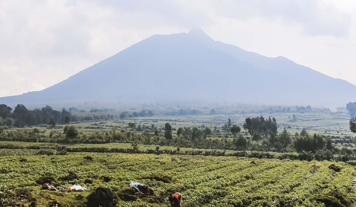 4 Days Rwanda Gorillas and Mount Bisoke Hiking Tour, Facts About Rwanda as a Tourist Destination