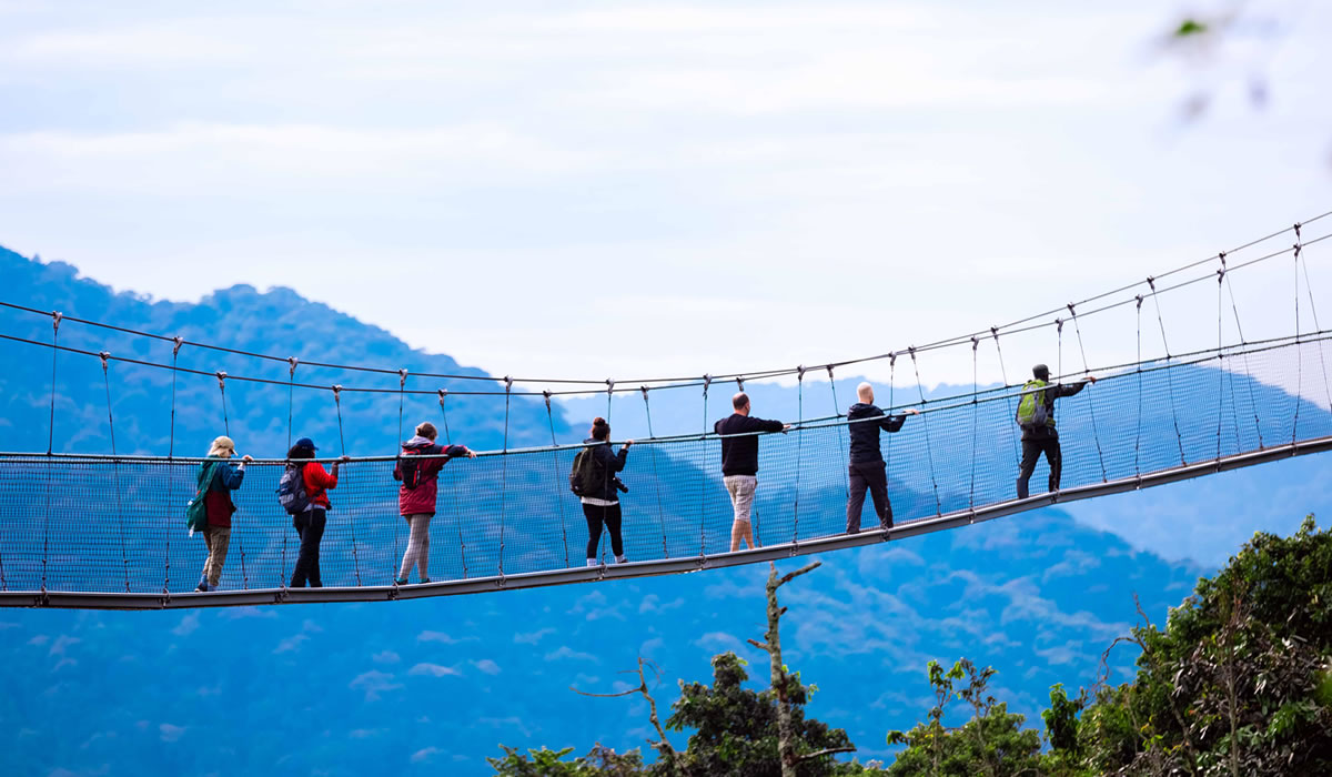 Nyungwe Forest National Park