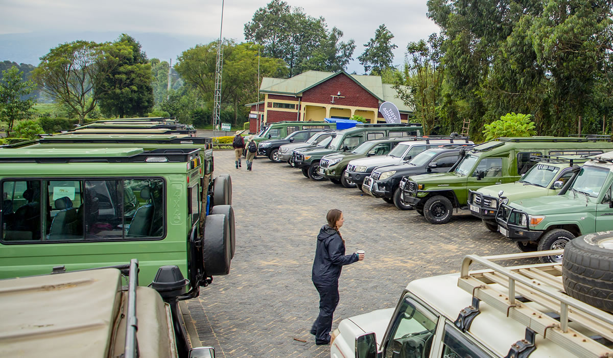 Ultimate Guide to Visiting Rwanda