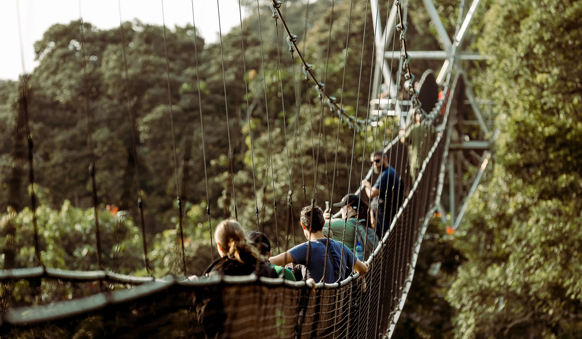 Top 10 Must-Visit Destinations on a Rwanda Tour